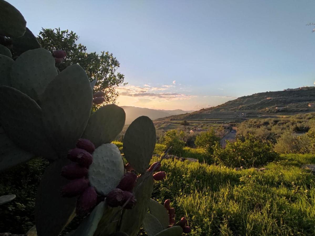 הוילה Adrano La Tana Di Luna מראה חיצוני תמונה